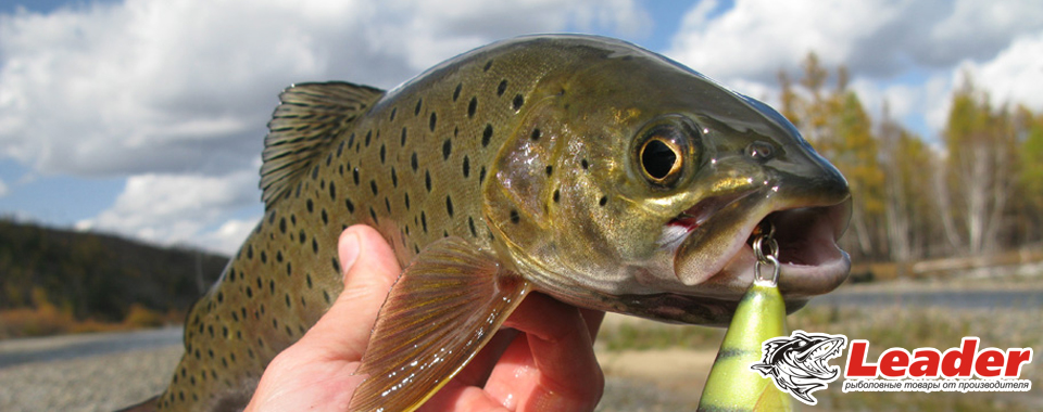 www.leader-fishing.ru